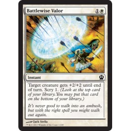 Battlewise Valor