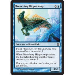 Breaching Hippocamp