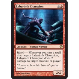 Labyrinth Champion