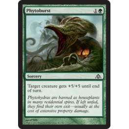 Phytoburst