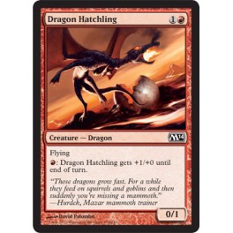 Dragon Hatchling