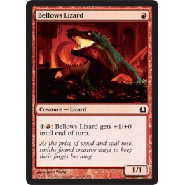 Bellows Lizard
