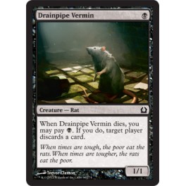 Drainpipe Vermin