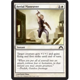 Aerial Maneuver Aerial Maneuver