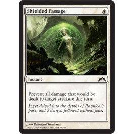 Shielded Passage Shielded Passage
