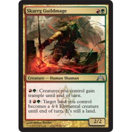 Skarrg Guildmage